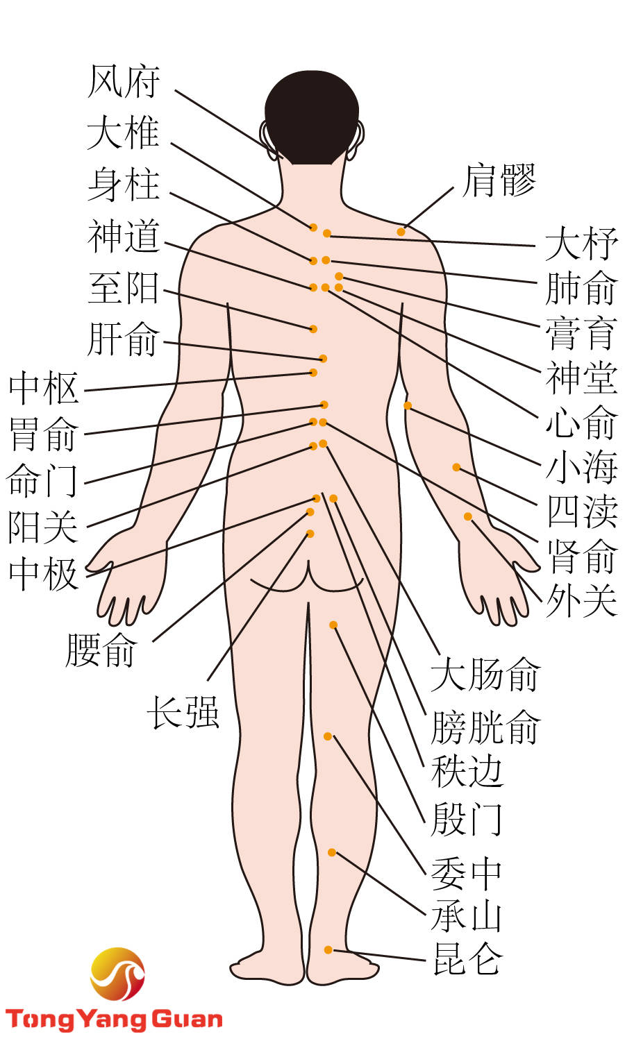 幼儿识字人口手足_幼儿识字图片