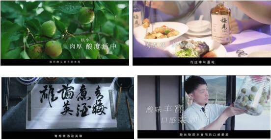 梅见|一颗青梅撬动佐餐酒新风口，梅见青梅酒和年轻人有多对味？