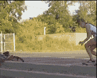 搞笑gif:身材好的妹子,总是不经意间来个一字马