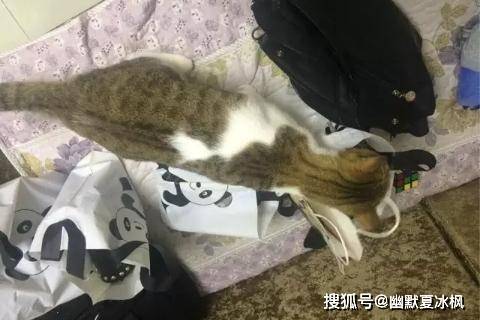 下雨了我说的不是天气而是心情 77a3f88e7a644706a4f3de8bd00d2069.jpeg