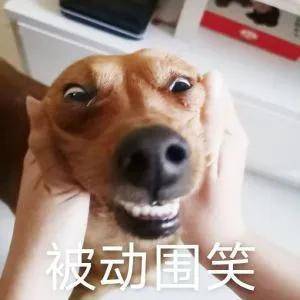 新低|黑粉都拍不到丑照的刘亦菲，却凭一己之力创造颜值新低？