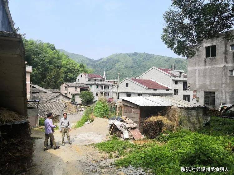 温州至丽水古驿道必经之地 一一 山福镇小旦村