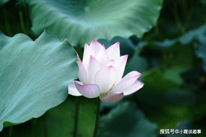 很现实的人生感悟句子,睿智深刻,让人深有体会