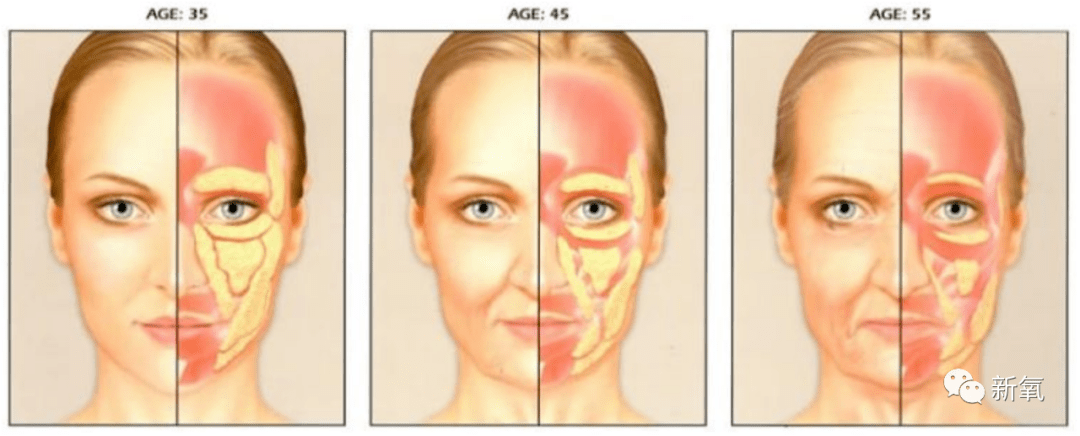 洪欣|这四位大花竟然罕见同框比美了?可她真的被衬得有点脸崩了...