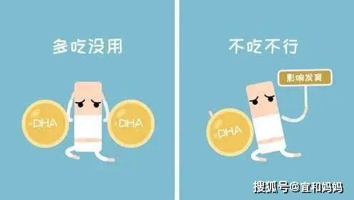 被商家神化的dha有那么厉害吗