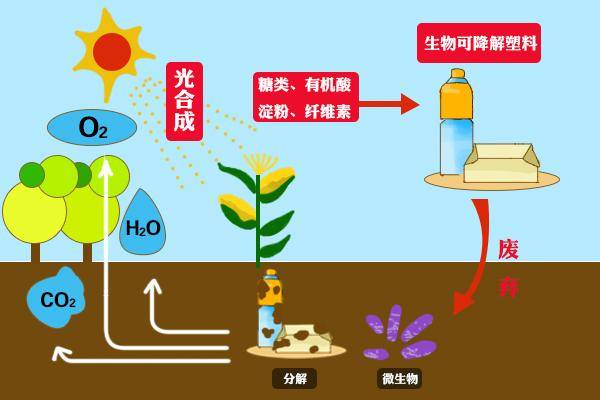 正确认识可降解塑料!生物基&石化基究竟有何区别?