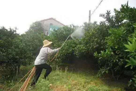 果农打药照片