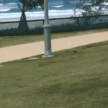 搞笑gif:妹子原来是个逗逼!