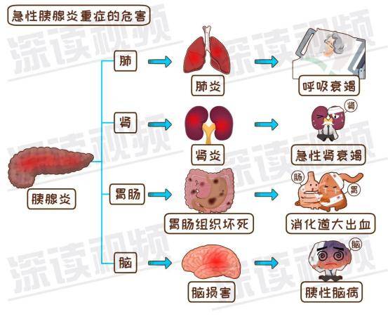 消化内科 排名_消化内科图片(2)