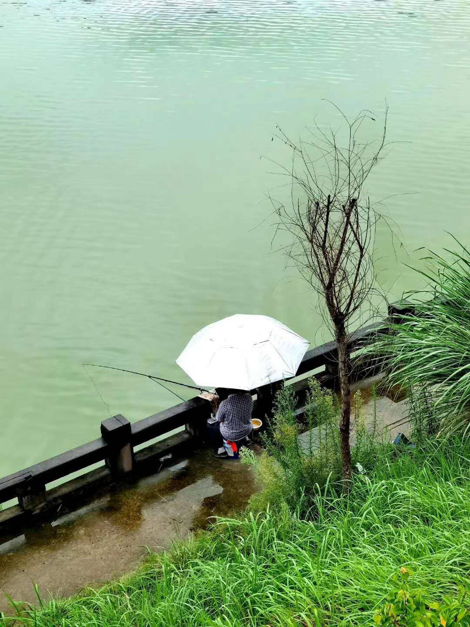 下雨天剑阁下寺最美的风景有时间一定去看看