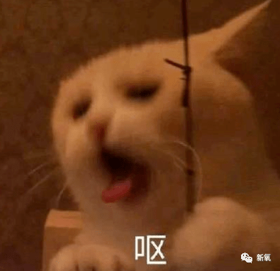 景甜|原创扑倒刘亦菲骚扰景甜，强拉韩雪，他们怎么还没被抓？