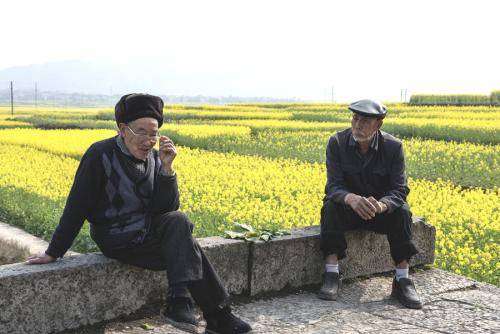 原创丁克一族最后悔的是什么？陈先生说了他的故事，值得每一个人深思