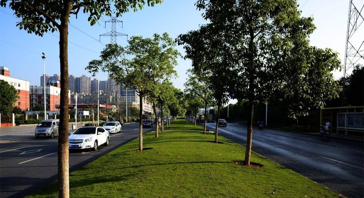 2020湖南各市人均gdp排名_2020年成功逆袭的省,人均GDP超广东和浙江,却不是湖