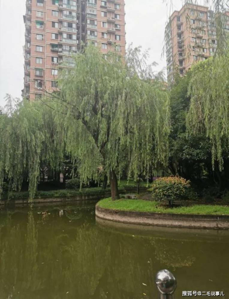 杭州杀妻男子曾对前妻家暴：威胁不离婚，命就没有了