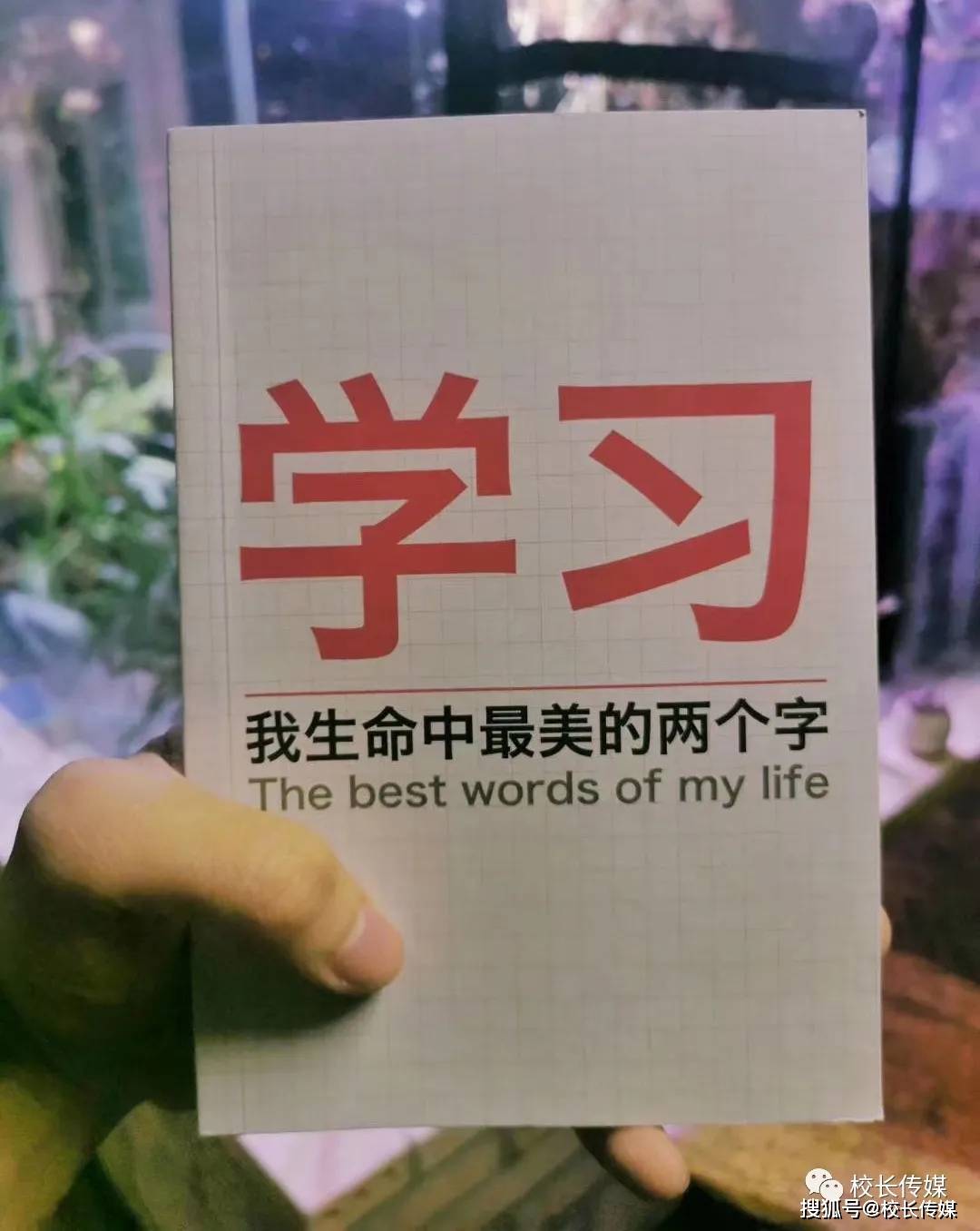 分数|比高考分数更重要的十个领悟