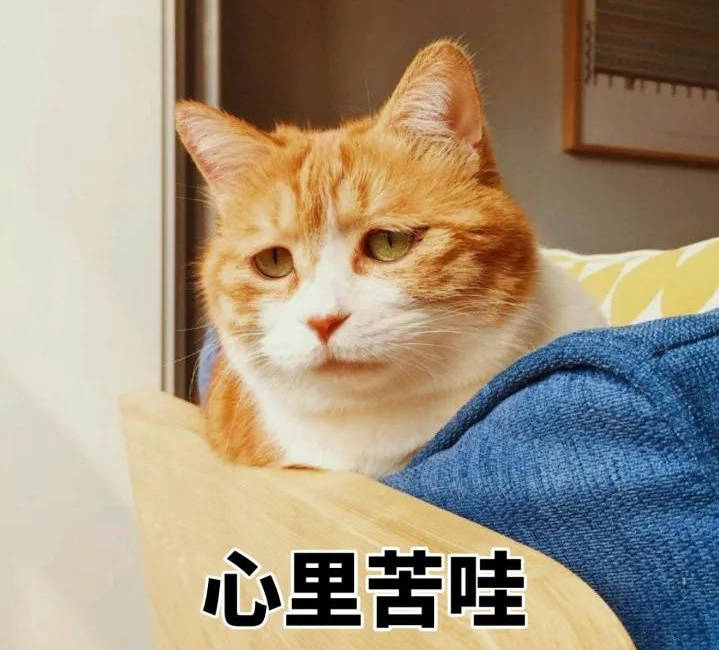 quiz|揭秘！当代留学生与网课的爱恨情仇。