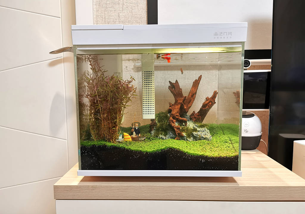 监测|哪种鱼缸更适合养鱼？画法几何AI智能鱼缸，水质监测还能自动喂食