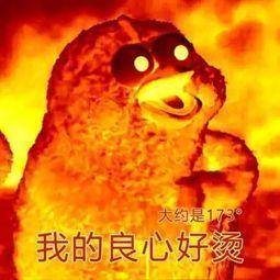 小黄鸡表情包合集|没有良心,只要钱