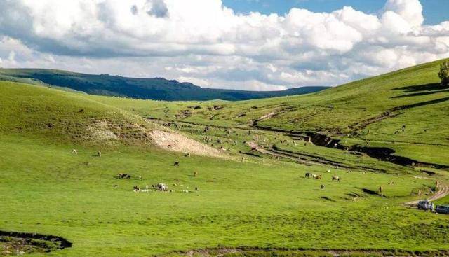 赤峰市林西县GDP2020_赤峰市林西县照片