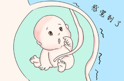 孕期夫妻『恩愛行為』，腹中胎兒有什麼感覺？看完忍不住想笑。《網路文章》