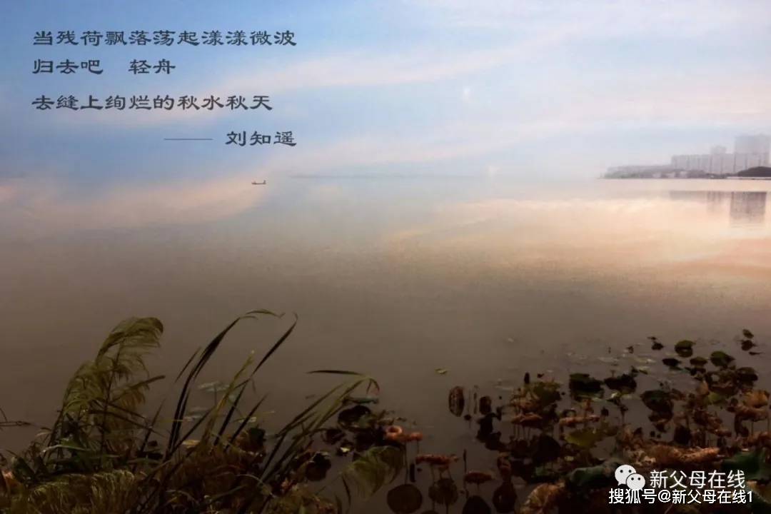 范莉|全班平均分673!独家专访华师一长飞班班主任范莉老师高考最高分725