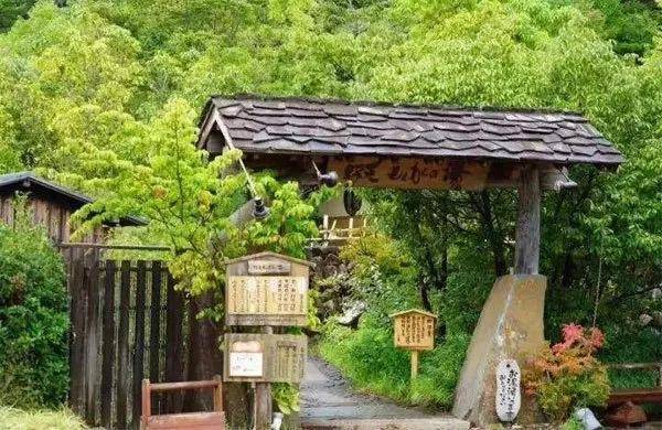 开云 开云体育平台如何真正打造康养、研学等融为一体的“绿色休闲农业”？(图2)