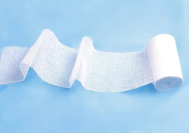 fa08edca916c4334a92497a262e1e038.jpeg