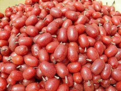 卵巢|晚上当零食吃几个，保养卵巢，更显年轻女性不想子宫早衰