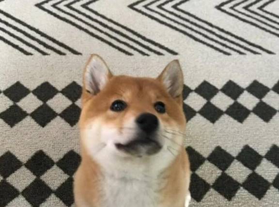 2623f7f5c27f436986f86ab8e569f4c1.jpeg