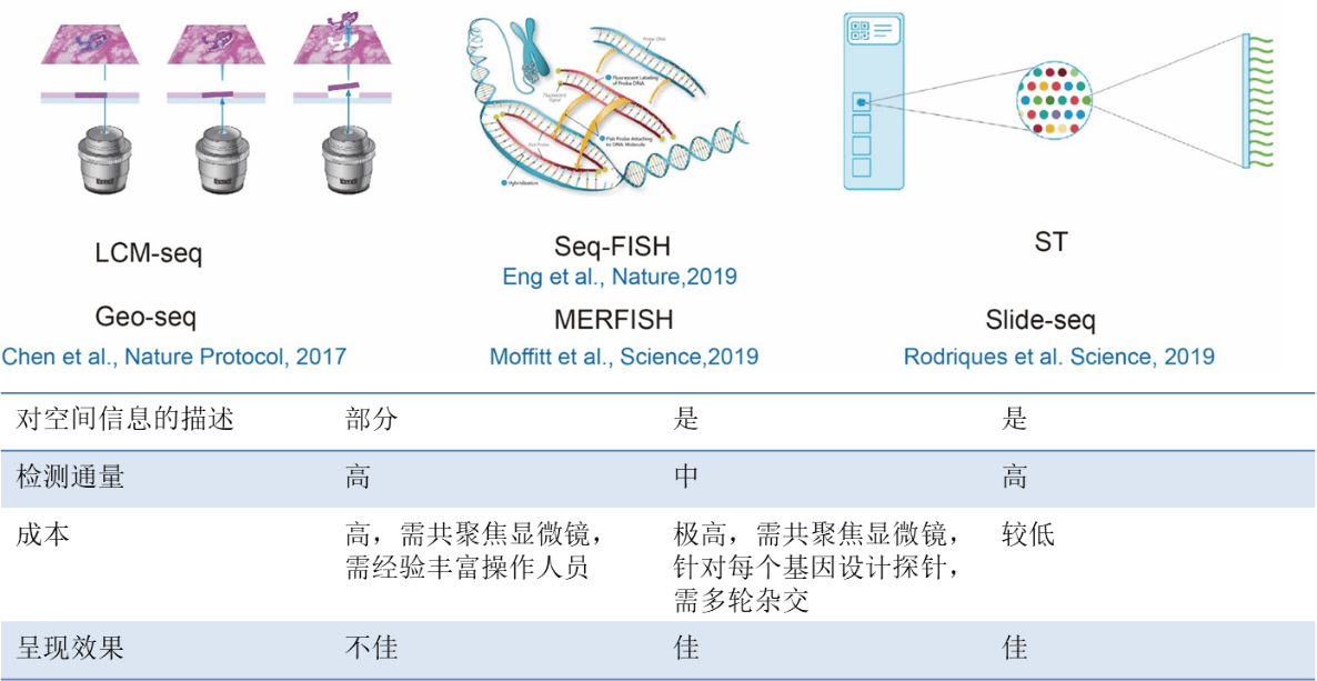 高分文章的新阵地—空间转录组,技术入门来啦!