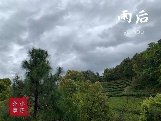 福鼎有多少人口_福鼎肉片图片(3)