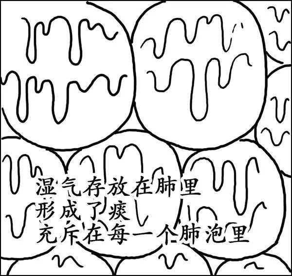 什么|湿气到底是什么？——长胖的罪魁祸首！！