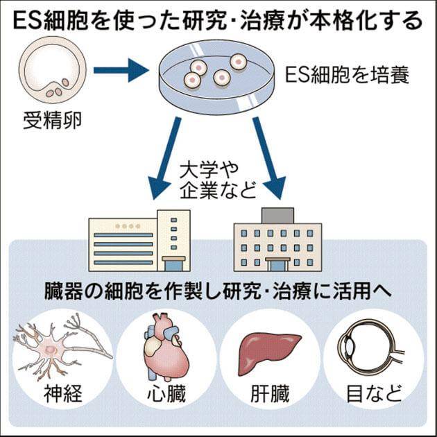 人口少克隆_人口与国情手抄报字少