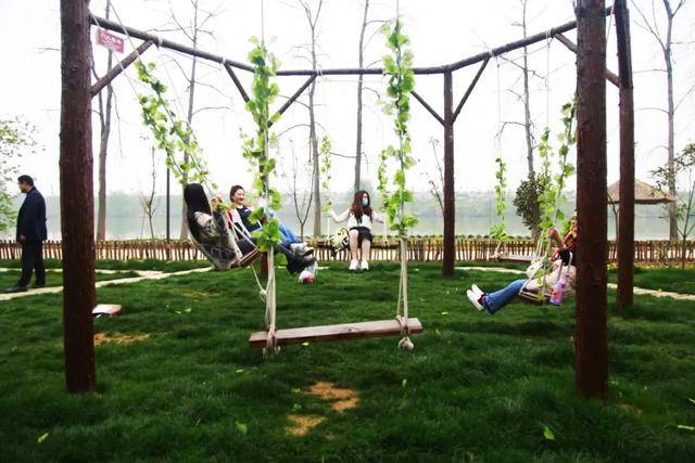 彭山|桃中极品，口口香甜彭山黄桃