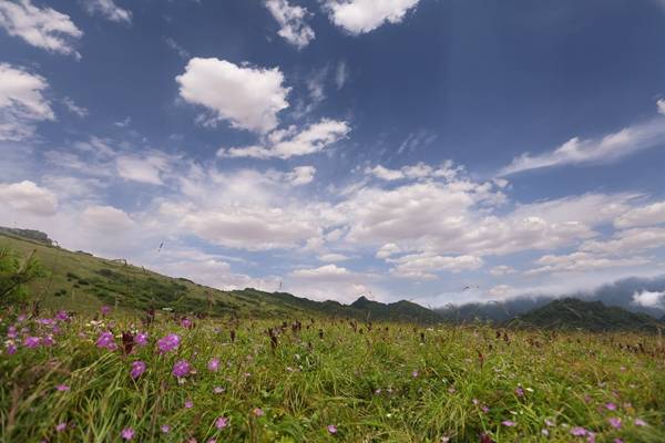 陕西旅游|避暑、游玩一个不能少 ，解锁铜川旅游免费景区新玩法！