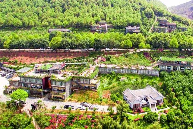 彭山|桃中极品，口口香甜彭山黄桃