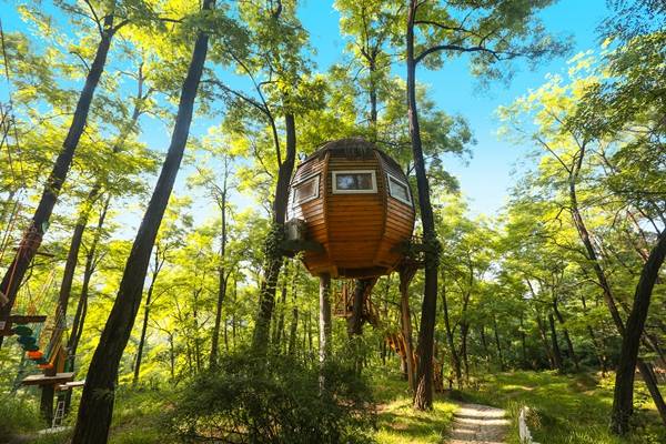 陕西旅游|避暑、游玩一个不能少 ，解锁铜川旅游免费景区新玩法！