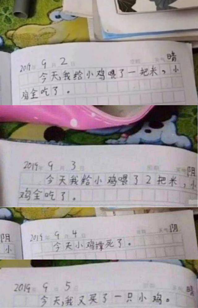 作文|小学生作文3天养死1只鸡，看到第4天，老师评：给鸡一条生路吧