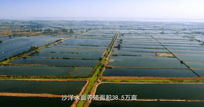 襄城县农业经济总量_农业银行图片(2)