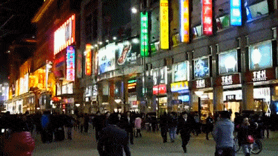 故事传记|3岁画画的自闭症天才，无需起稿画出400种动物，画出了另一个世界