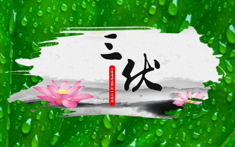 1b7a817d0087450591e1a665fb817c48.png