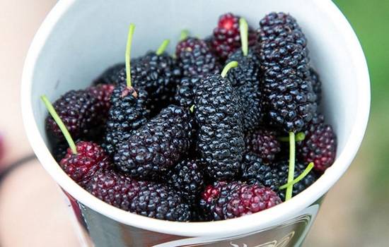 怎么快速恢复肾气 64e0e2c9e96840dba6489484e1f644a0.jpeg