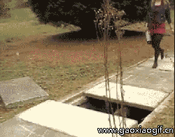 搞笑gif:妹子,看你的身材,至少得150斤以上啊