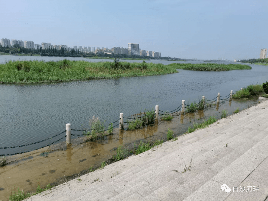 沙河镇有多少人口(3)