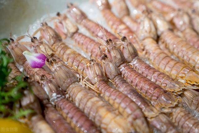 皮皮虾做法大全视频教程 a5068f94547d4612b9599c1b84f8a084.jpeg