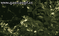 搞笑gif: 煞费苦心恶搞你, 你却练就一身好本领_蓝翔