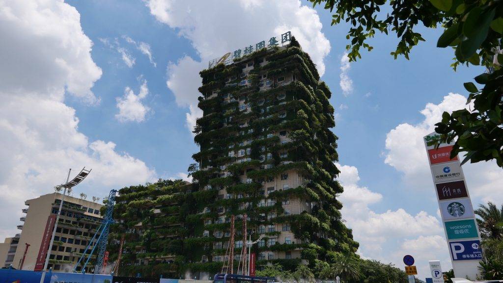 为什么叫佛山 232de599e39242ec8408ee049fc62670.jpeg