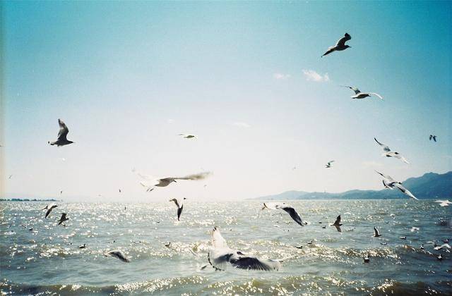 昆明和厦门gdp_黄金周旅游趋势报告 定制游需求旺盛 消费升级是趋势(3)