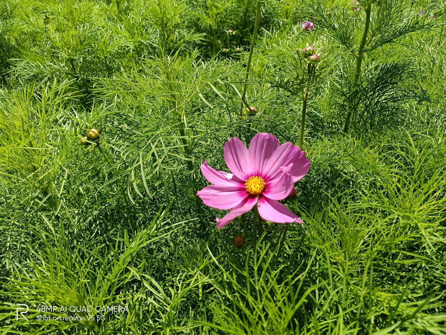 部分|realme真我V5性能实测：天玑720表现有惊喜，千元价位值得考虑