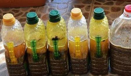 怎么样自制肥料 6ed64ebb7bb44ba48b4fd73ed99076d0.jpeg